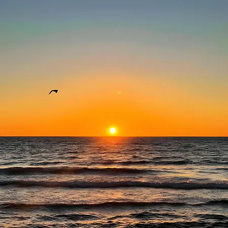 Lejlighed Middle Views West *